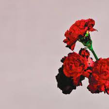 Song Cover Photo